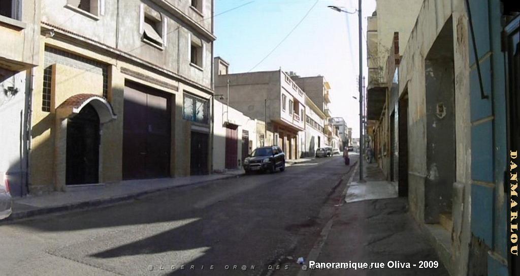 ORAN 2009 panorue Oliva 03 .jpg